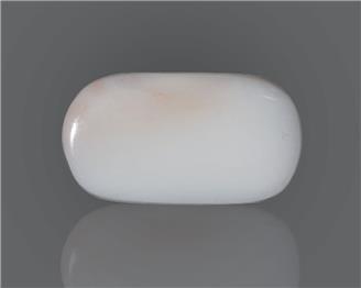 Natural White Coral  18.58 CTS (50178)